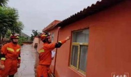 柯基最新爆料视频大全下载,萌宠瞬间，笑料横生